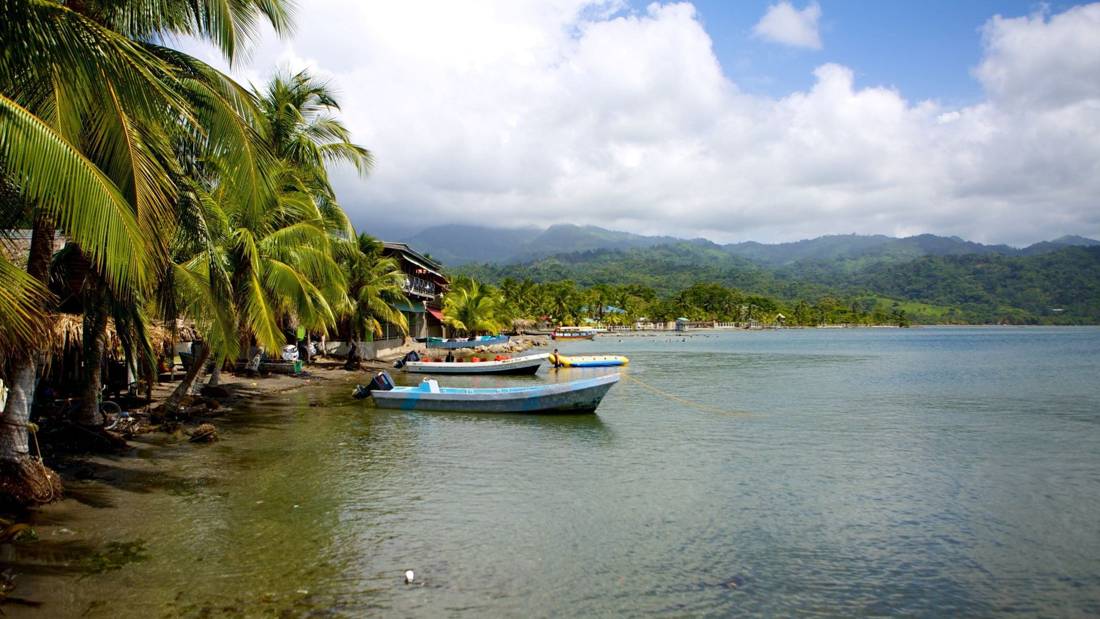 Palm trees and fishing boats on the Caribbean coast at Omoa, Honduras